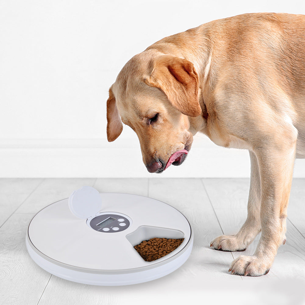 Timing feeder 6 grid electric timing cat and dog feeder unmanned feeding machine music reminder pet food