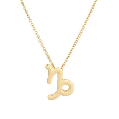 wish Amazon cross-border explosion models 12 twelve constellation necklace constellation card alloy pendant clavicle chain