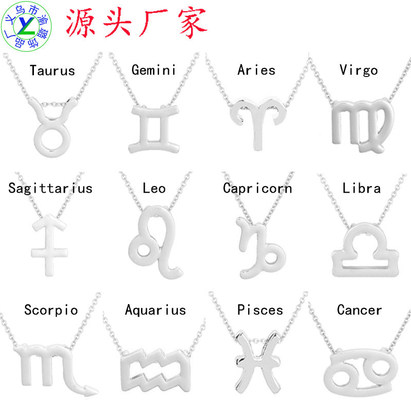 wish Amazon cross-border explosion models 12 twelve constellation necklace constellation card alloy pendant clavicle chain