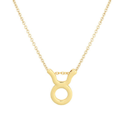 wish Amazon cross-border explosion models 12 twelve constellation necklace constellation card alloy pendant clavicle chain