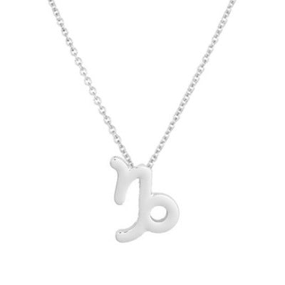 wish Amazon cross-border explosion models 12 twelve constellation necklace constellation card alloy pendant clavicle chain