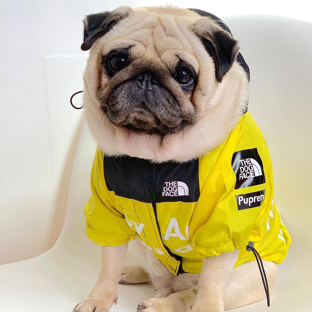 Spring Dog Clothes Windproof Waterproof Fashion Dog Jacket For Large Dogs Labrador Bulldog Dog Raincoat