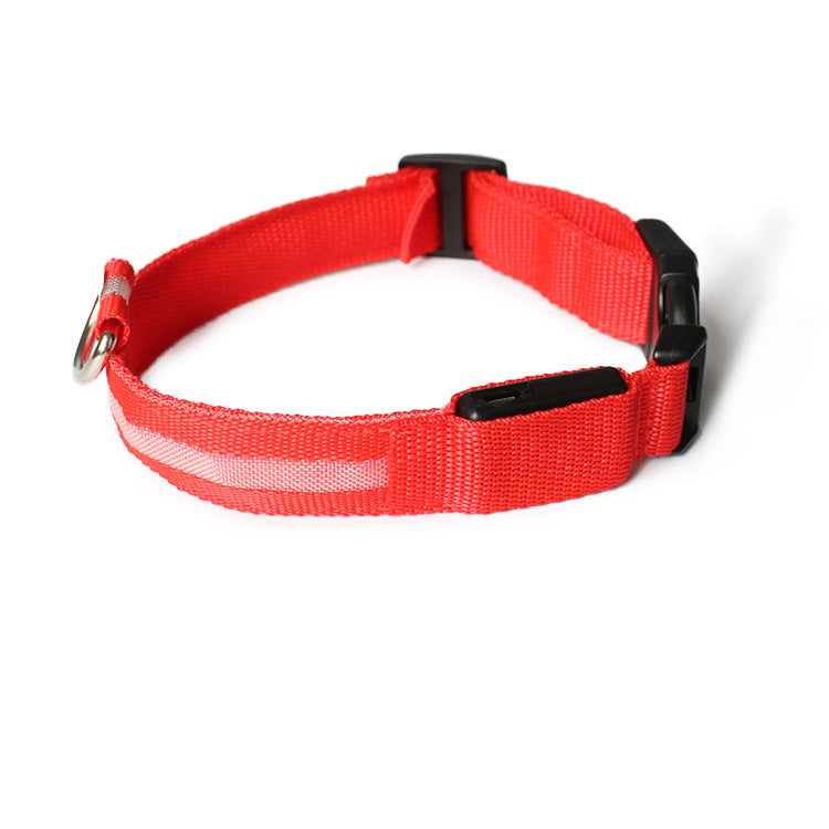 USB LED lights dog collar
