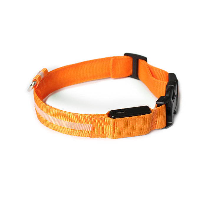 USB LED lights dog collar