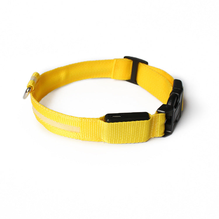 USB LED lights dog collar