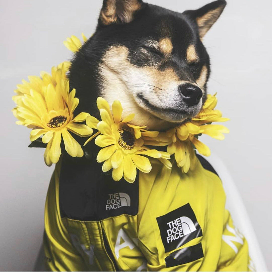 Spring Dog Clothes Windproof Waterproof Fashion Dog Jacket For Large Dogs Labrador Bulldog Dog Raincoat