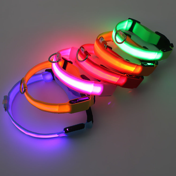 USB LED lights dog collar