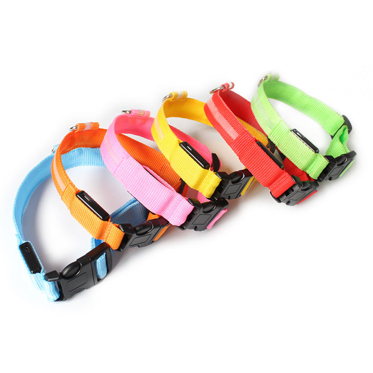 USB LED lights dog collar