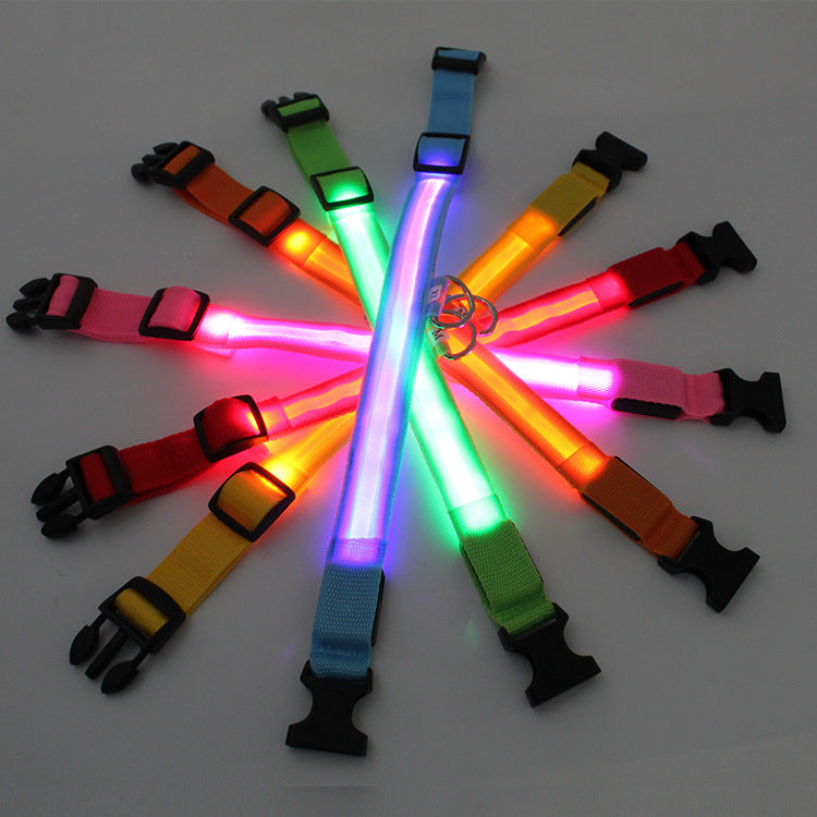 USB LED lights dog collar