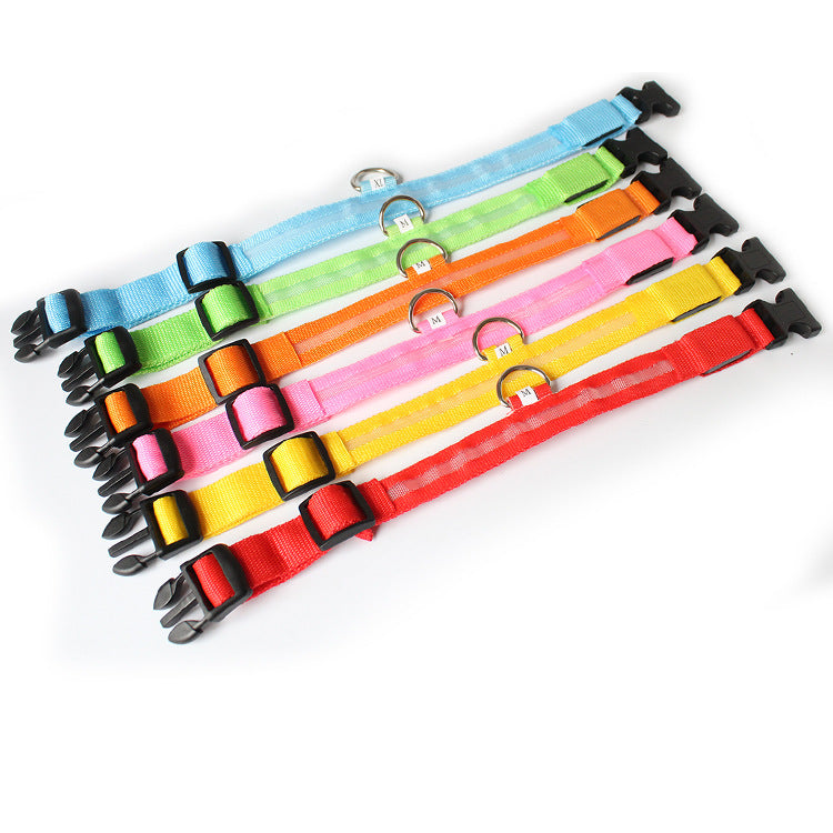 USB LED lights dog collar
