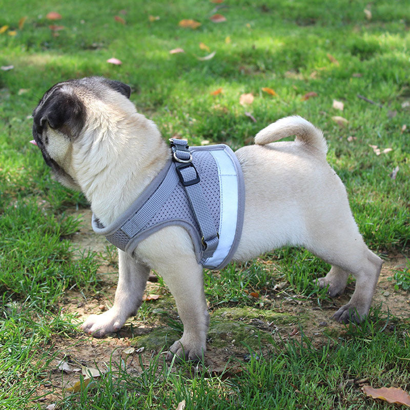 Cross-border hot style pet chest harness vest-style dog leash reflective dog rope pet supplies wholesale