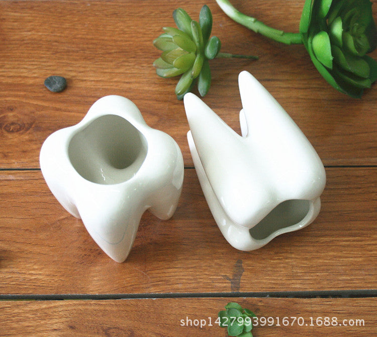 Manufacturers flowerpots wholesale meaty potted white ceramic pen holder home decoration tooth-shaped desktop ceramic flower pot