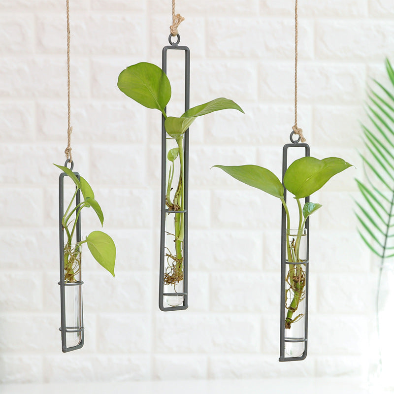 Creative wrought iron glass vase hemp rope pendant living room wall wall water culture green plant container hanging wall decoration