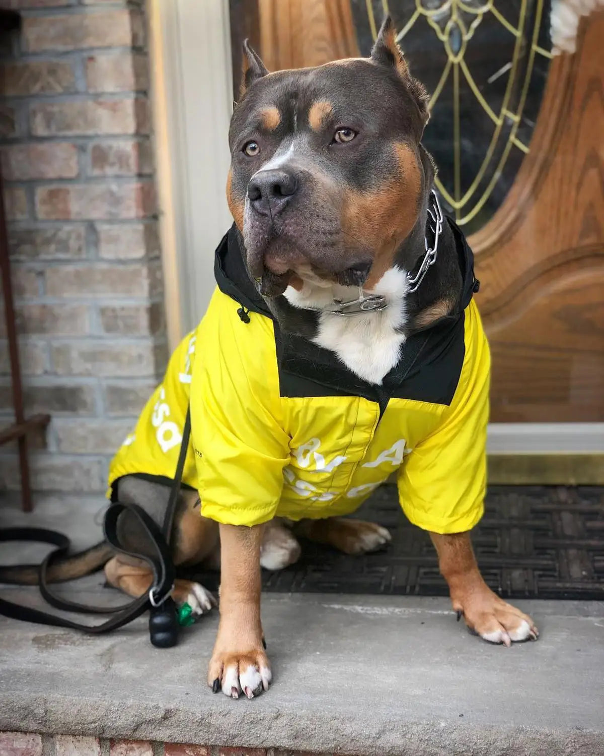 Spring Dog Clothes Windproof Waterproof Fashion Dog Jacket For Large Dogs Labrador Bulldog Dog Raincoat