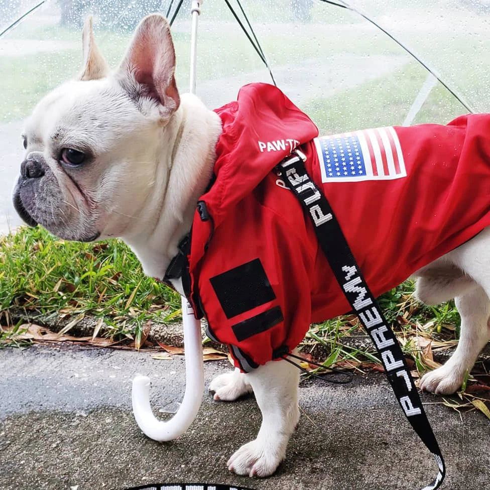 Spring Dog Clothes Windproof Waterproof Fashion Dog Jacket For Large Dogs Labrador Bulldog Dog Raincoat