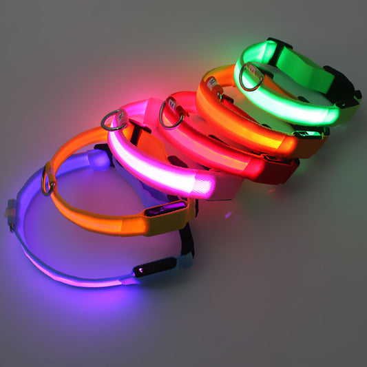 USB LED lights dog collar