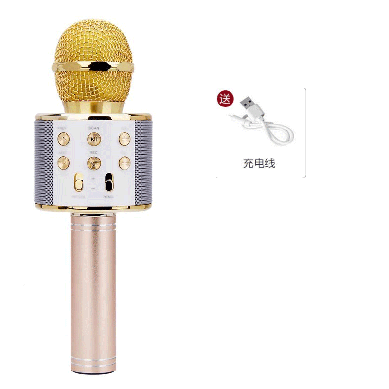 Ws858 mobile phone K song treasure handheld KTV microphone audio wireless bluetooth microphone child microphone variable sound