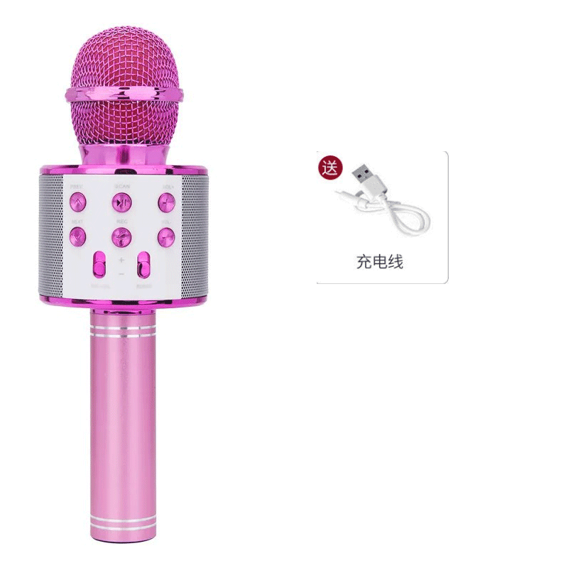 Ws858 mobile phone K song treasure handheld KTV microphone audio wireless bluetooth microphone child microphone variable sound