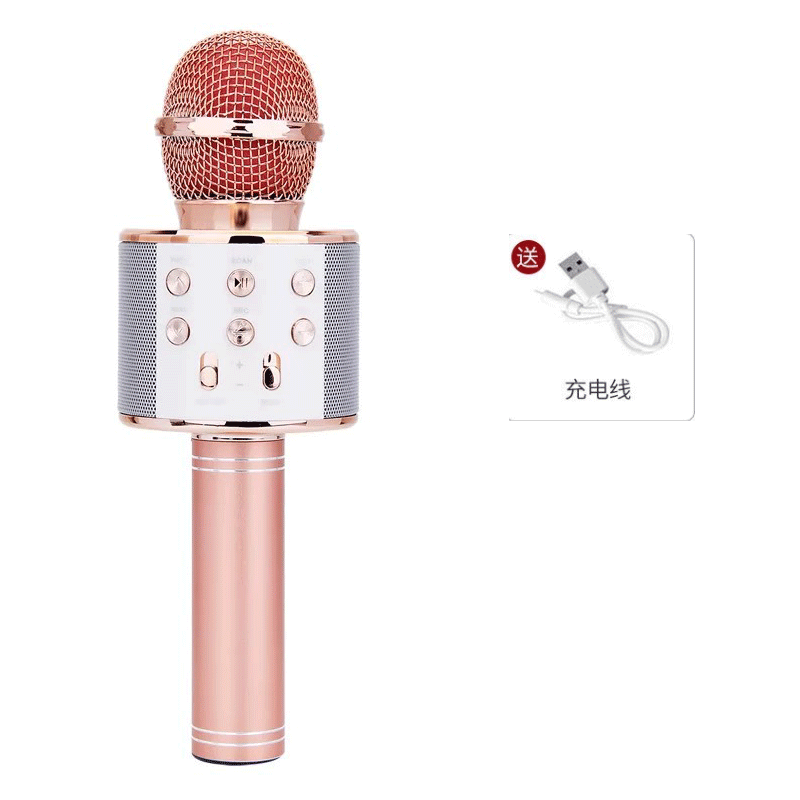 Ws858 mobile phone K song treasure handheld KTV microphone audio wireless bluetooth microphone child microphone variable sound