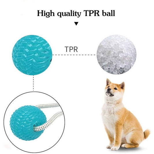 Dog small ball smart play dog bite rope toy doll bite-resistant own dog, cat sound ball