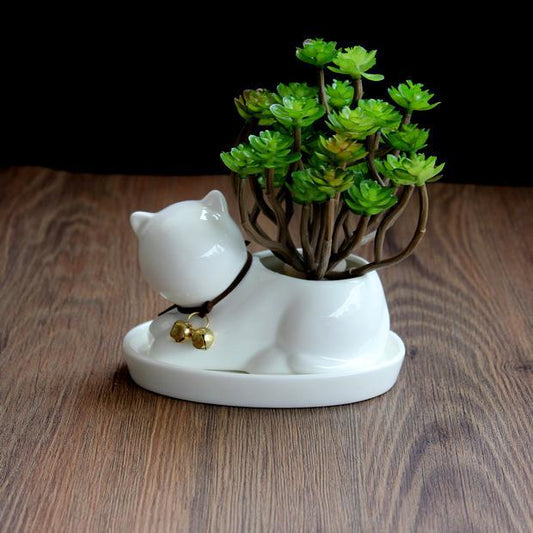 Creative personality ceramic animal small flower pot super Q pure white succulent plant potted cartoon cat shape